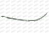 PRASCO BM0451245 Trim/Protective Strip, bumper